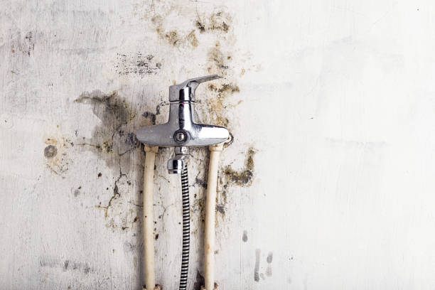 Best Water Damage Restoration  in Kenner, LA