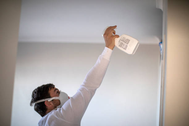 Best Commercial Mold Removal  in Kenner, LA