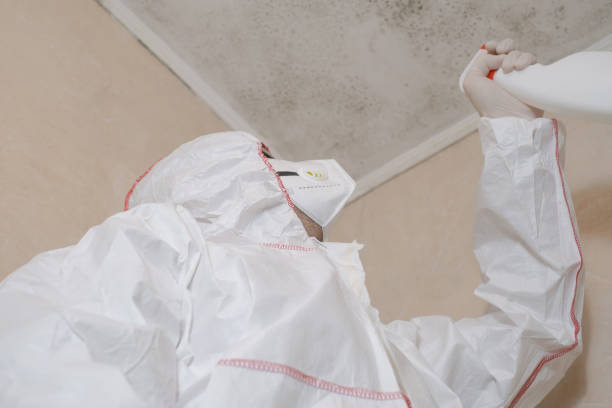 Professional Mold Removal in Kenner, LA