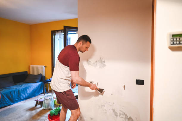 Professional Mold Removal in Kenner, LA